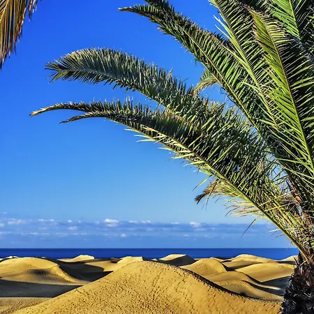 In Palmas Near Canteras